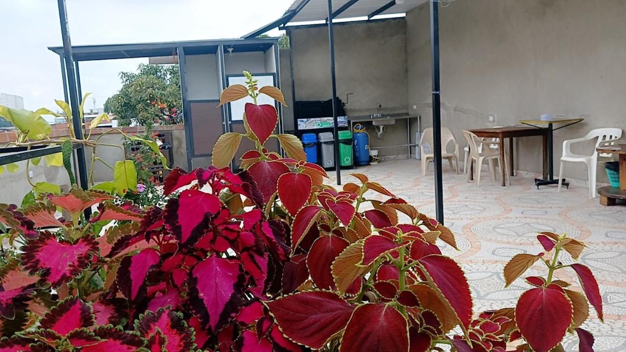 Casa Amarilla Hostel - カリ エクステリア 写真